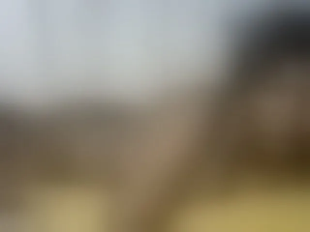 Live sex webcam photo for Stacylane #292673324