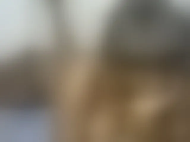 Live sex webcam photo for Stacylane #292711849