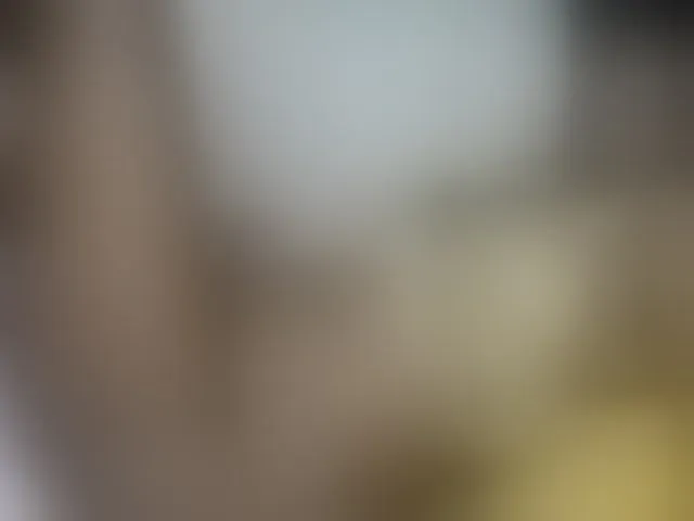 Live sex webcam photo for Stacylane #293022269