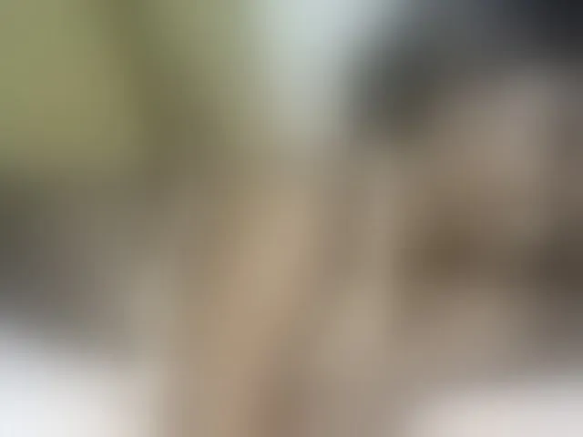 Live sex webcam photo for Stacylane #293163795