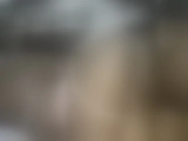 Live sex webcam photo for Stacylane #293338650