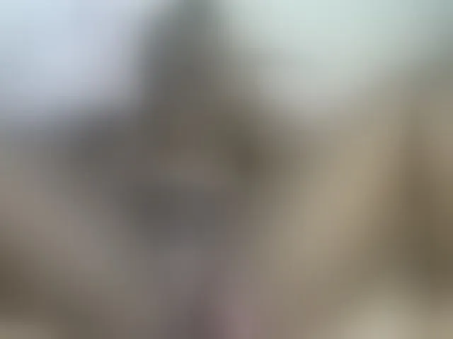 Live sex webcam photo for Stacylane #293437130