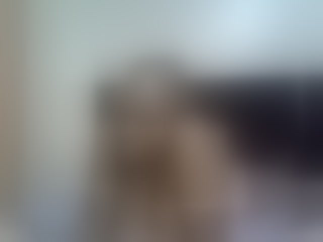 Live sex webcam photo for Stacylane #293748065