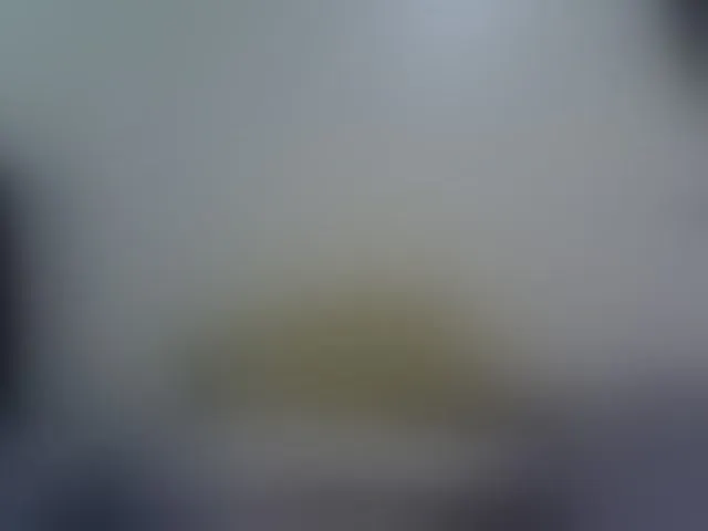 Live sex webcam photo for Stacylane #293900210