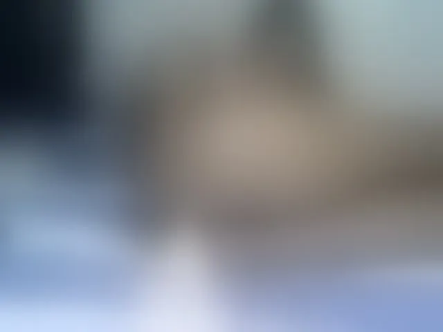 Live sex webcam photo for Stacylane #293909387