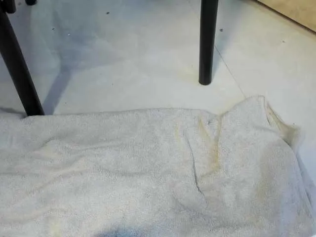 Live sex webcam photo for Starstorm #290785628