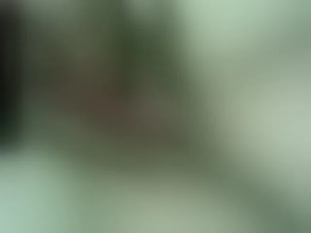 Live sex webcam photo for Stasja1 #276489935