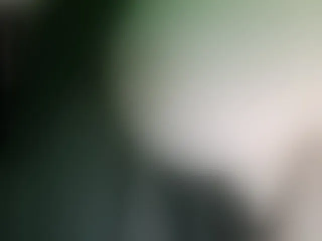 Live sex webcam photo for Stasja1 #276615386