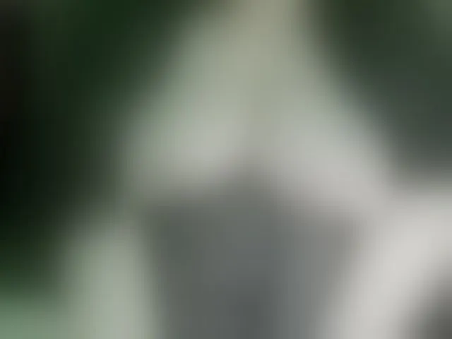 Live sex webcam photo for Stasja1 #276756510