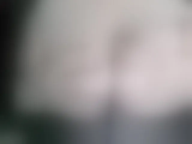 Live sex webcam photo for Stasja1 #276771654