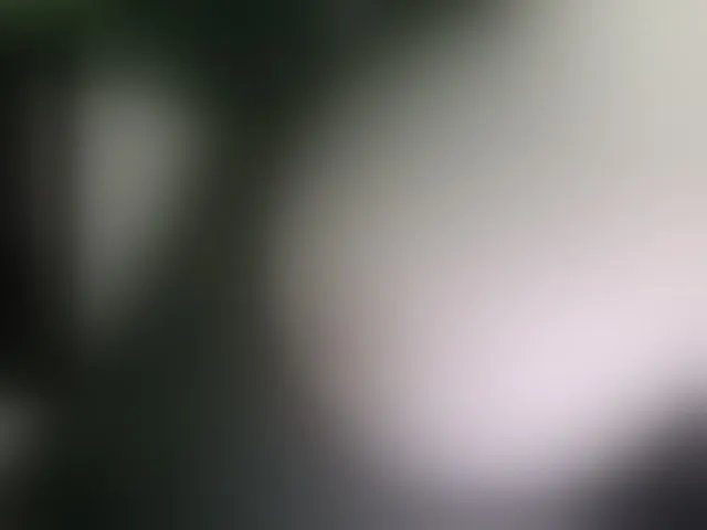 Live sex webcam photo for Stasja1 #276792464
