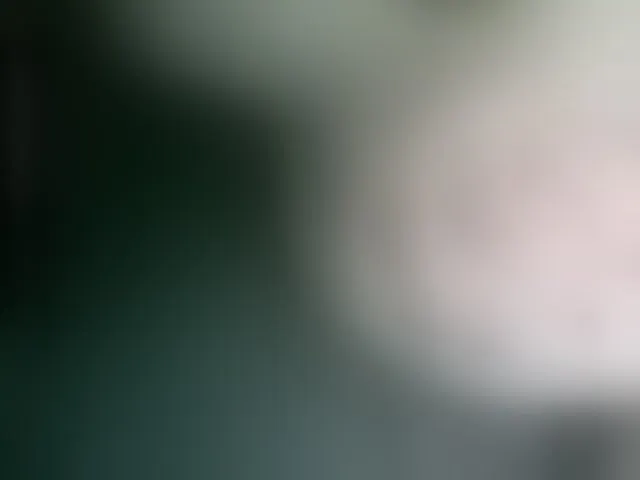 Live sex webcam photo for Stasja1 #277141223