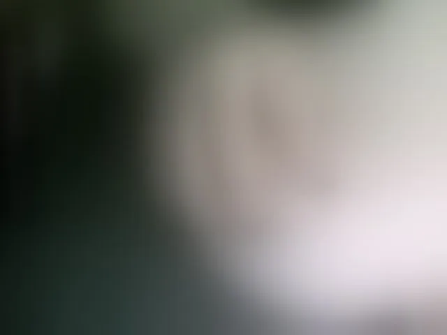 Live sex webcam photo for Stasja1 #277160686