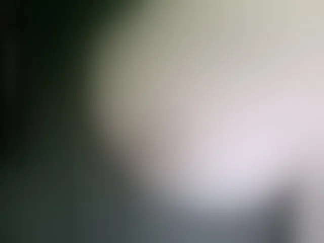 Live sex webcam photo for Stasja1 #277539394