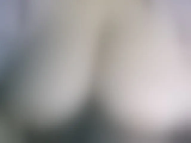 Live sex webcam photo for Stasja1 #283775246