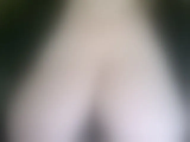 Live sex webcam photo for Stasja1 #289743080