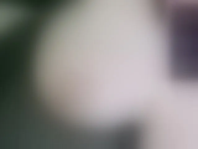 Live sex webcam photo for Stasja1 #292327727
