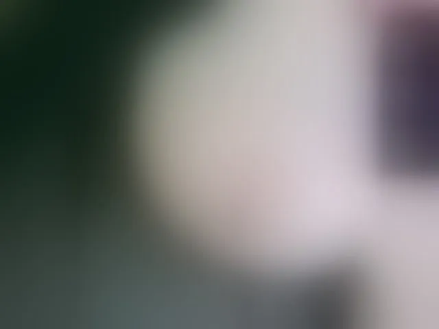 Live sex webcam photo for Stasja1 #292338628