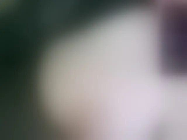 Live sex webcam photo for Stasja1 #292344988