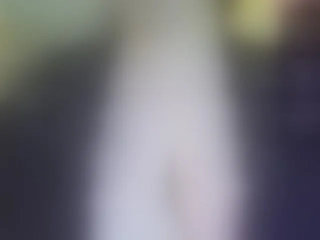 Live sex webcam photo for Stasja1 #293665958