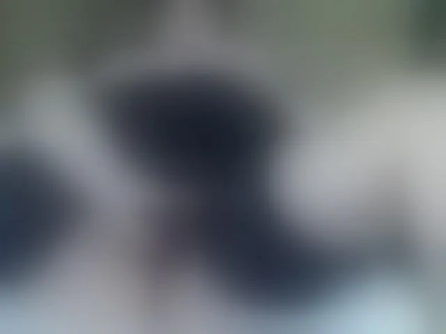 Live sex webcam photo for Stasja1 #293793748