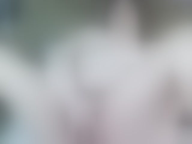 Live sex webcam photo for Stasja1 #294024720