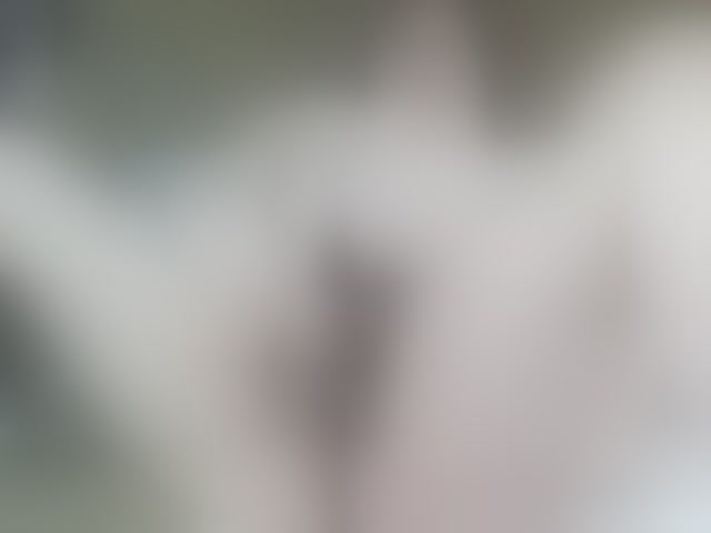 Live sex webcam photo for Stasja1 #294025730