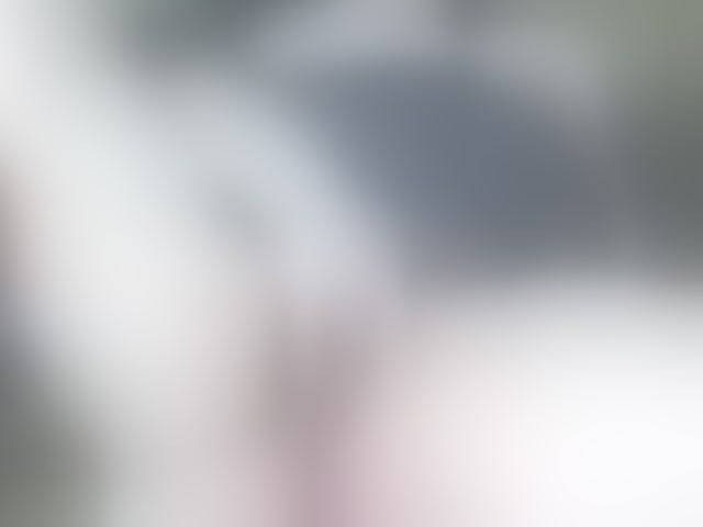 Live sex webcam photo for Stasja1 #294268168
