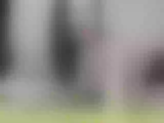 Live sex webcam photo for Stella888 #272283042