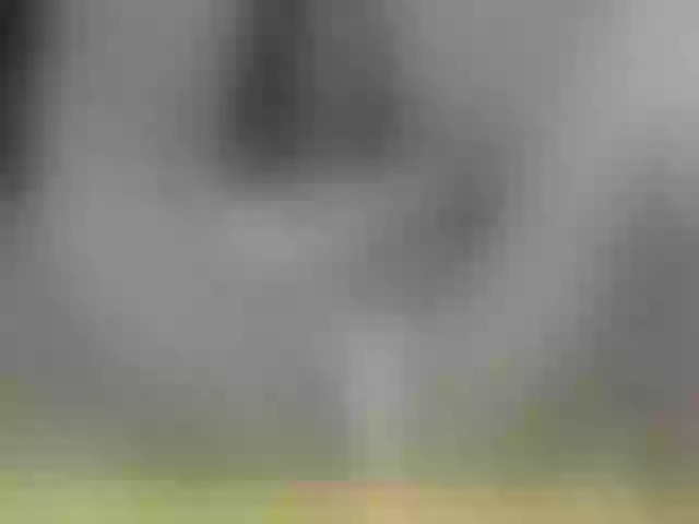 Live sex webcam photo for Stella888 #272287200