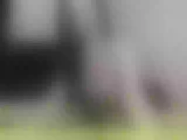 Live sex webcam photo for Stella888 #272897393