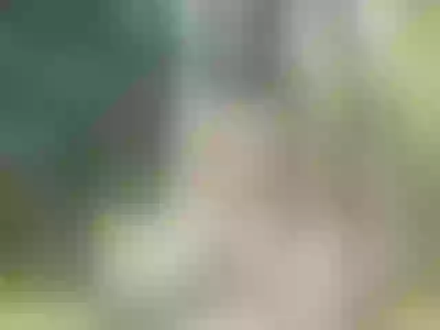 Live sex webcam photo for Stella888 #273876095