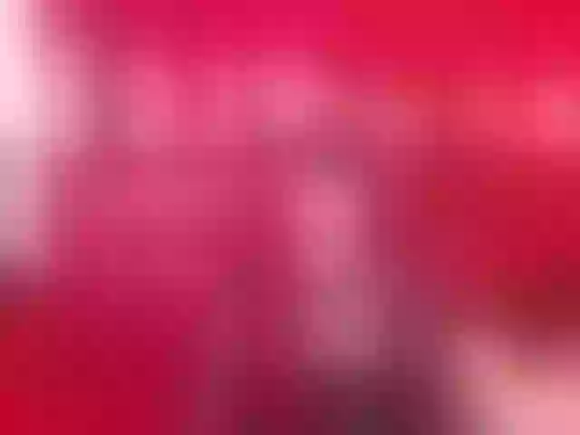 Live sex webcam photo for StellaGun13 #290569716