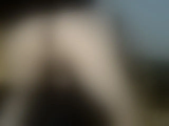 Live sex webcam photo for Stellakleppers #277517818