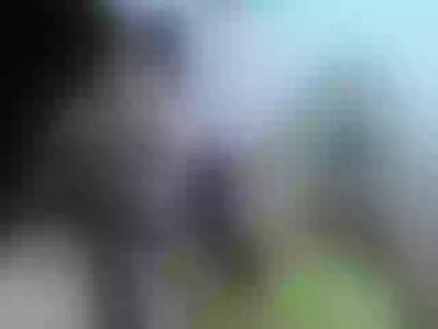 Live sex webcam photo for Stellakleppers #277605291