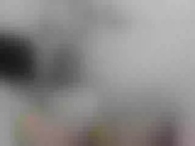 Live sex webcam photo for Stellakleppers #277611709