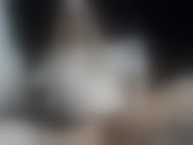 Live sex webcam photo for Stellakleppers #278028008