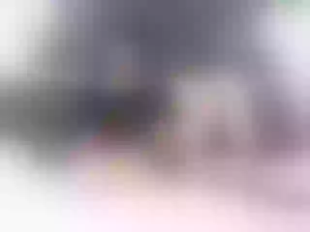 Live sex webcam photo for Stellakleppers #292002765
