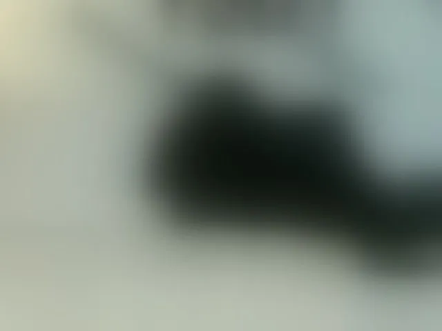 Live sex webcam photo for Stellakleppers #292482515