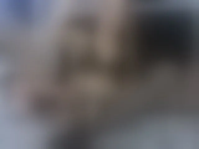 Live sex webcam photo for Stellakleppers #293572895