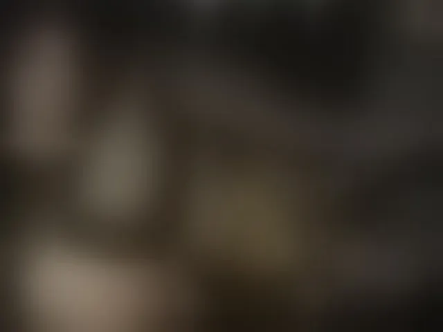Live sex webcam photo for Stellakleppers #294027493