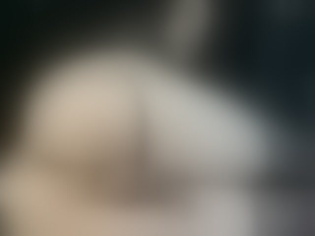 Live sex webcam photo for Stellakleppers #294114361