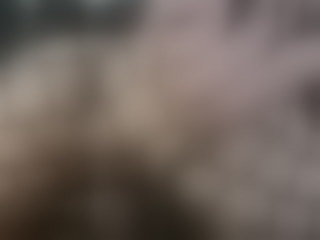 Live sex webcam photo for Stellakleppers #294179633