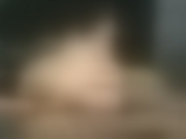 Live sex webcam photo for Stellakleppers #294193995