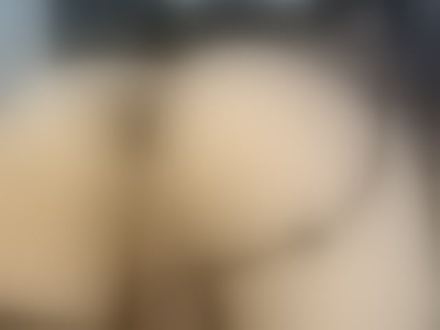Live sex webcam photo for Stellakleppers #294199040