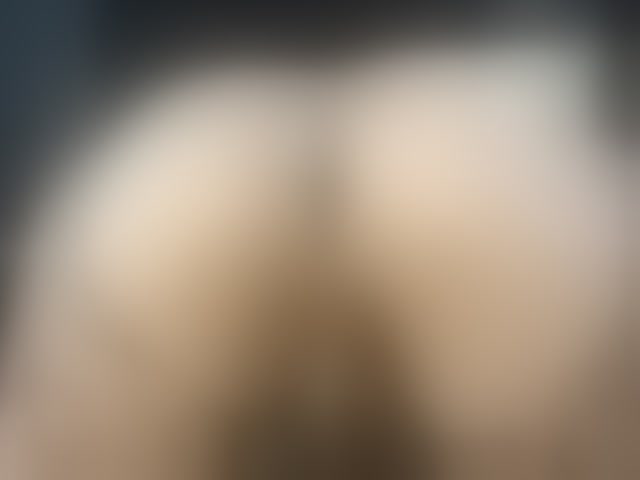Live sex webcam photo for Stellakleppers #294291781