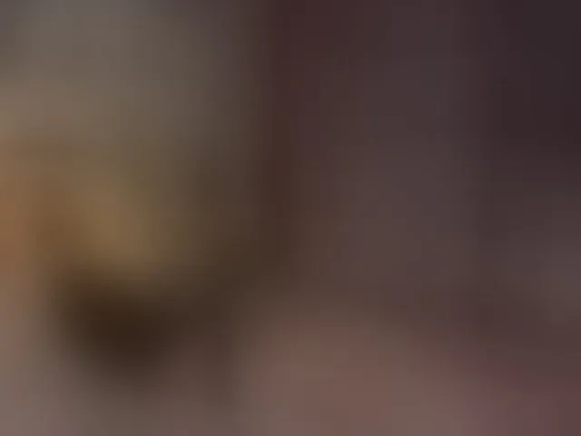 Live sex webcam photo for StellarTeam #293588826