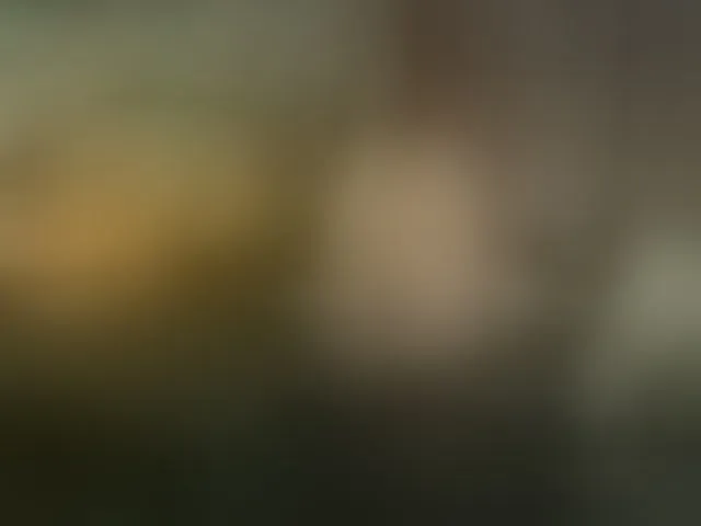 Live sex webcam photo for StellarTeam #293683813