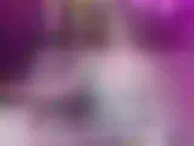 Live sex webcam photo for StelleKnox #290917314