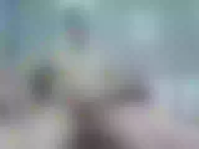 Live sex webcam photo for Stevenh #290268424